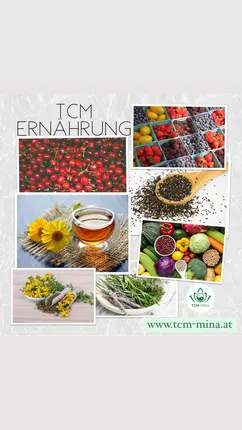 TCM-MINA – Foto 2