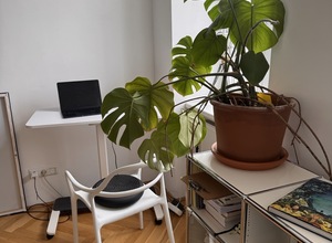 Gallery Foto