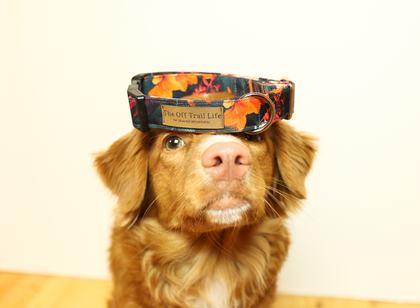 The Off Trail Life e.U.