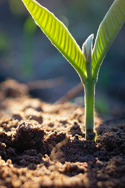 Klima & Sustainability
