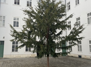 Gallery Foto