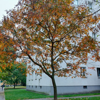 Gallery Foto