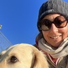 Praxisraum für Lebens- Sozialberatung i.A. gesucht, wo ein Hund gestattet ist