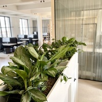 Gallery Foto