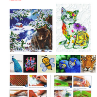Gallery Foto