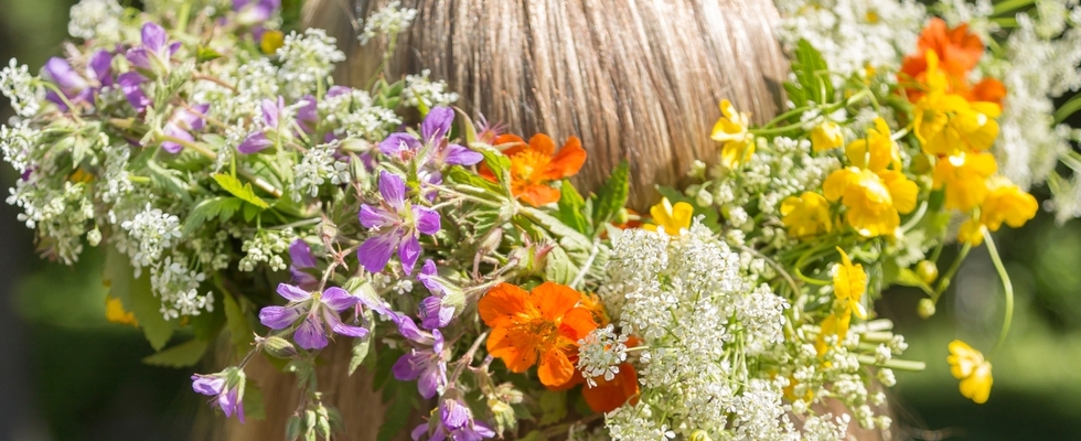 21 Tage Midsommar Begleitung Online