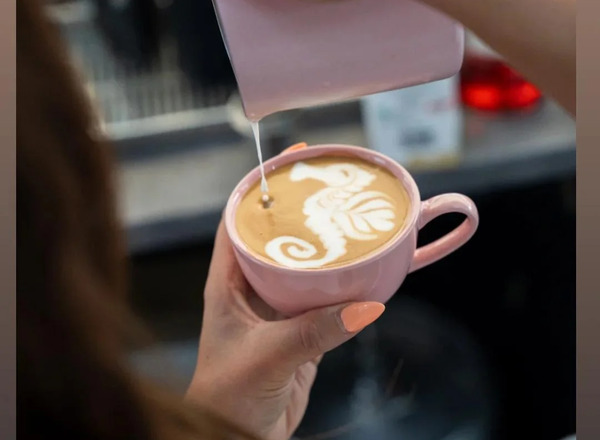 Kaffeepferdchen 