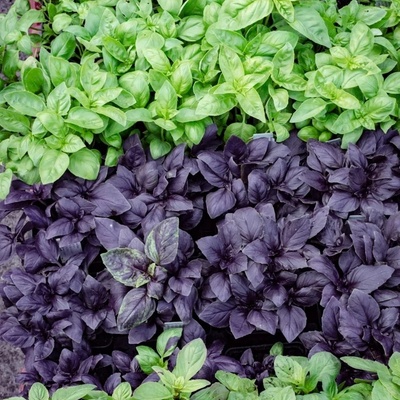 #<CrowdReward:0x00007f8ef9eee898>