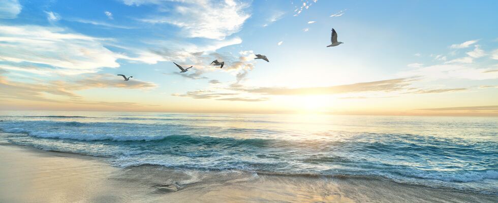 Atemtherapie, Coaching, Geburtsseminare