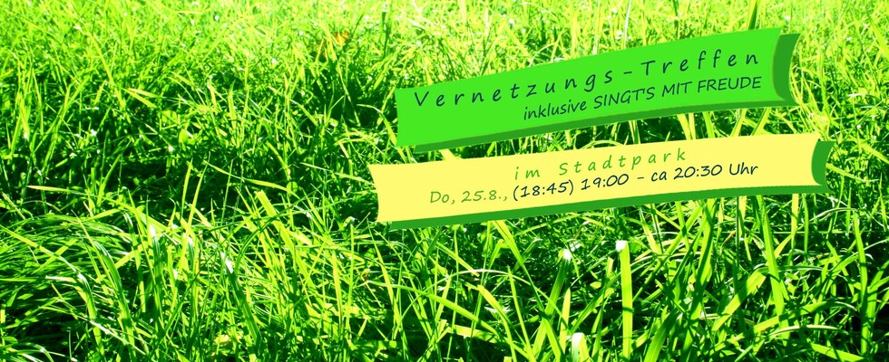 Vernetzungs-Treffen mit Singfreude