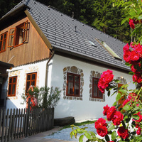 Gallery Foto
