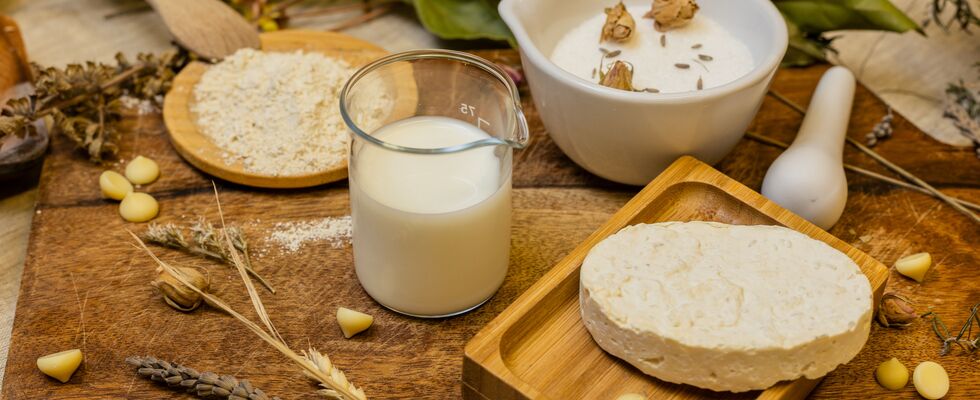 Seifenwerkstatt: Milch- & Honig