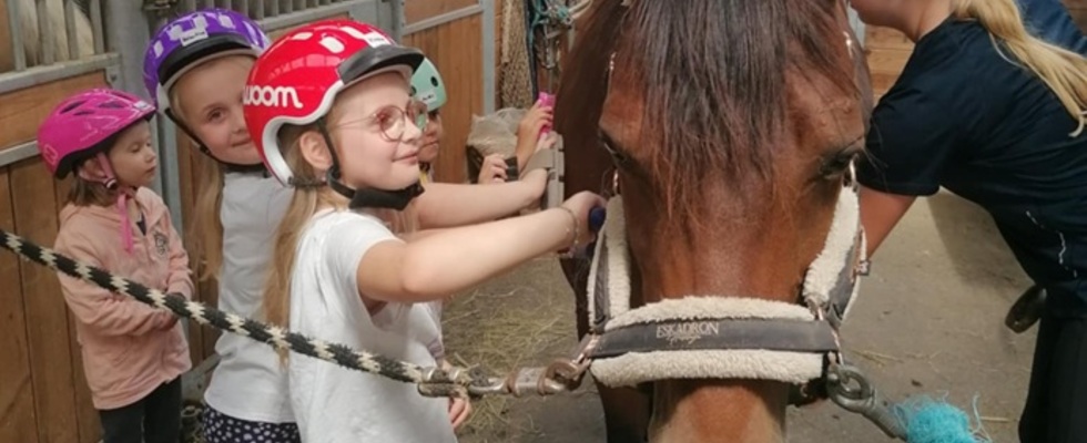 Pony Nachmittag für Kids von 4 - 8 Jahren
