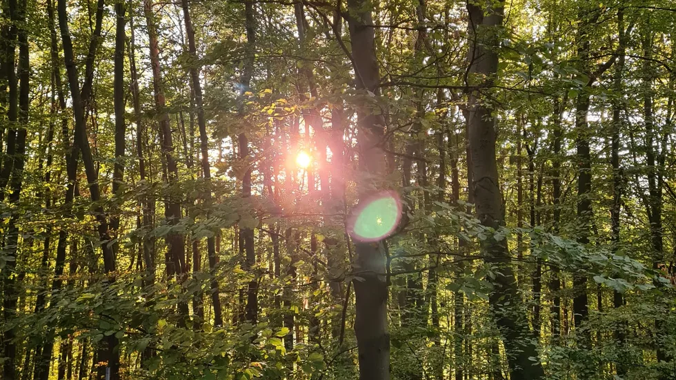 PSYCHOANALYSE & PSYCHOTHERAPIE – Foto 1