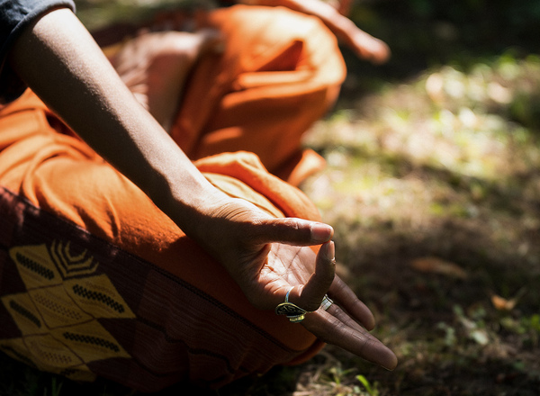 Professionelle Grundlagen des Yoga