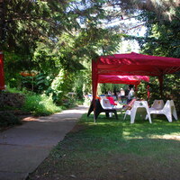 Gallery Foto