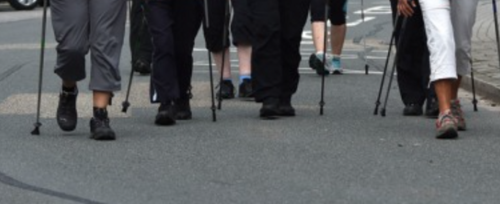 Holt die Nordic Walking Stöcke raus