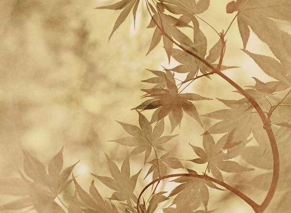 Mit Meditation leichter durchs Leben - Workshop mit Margit
