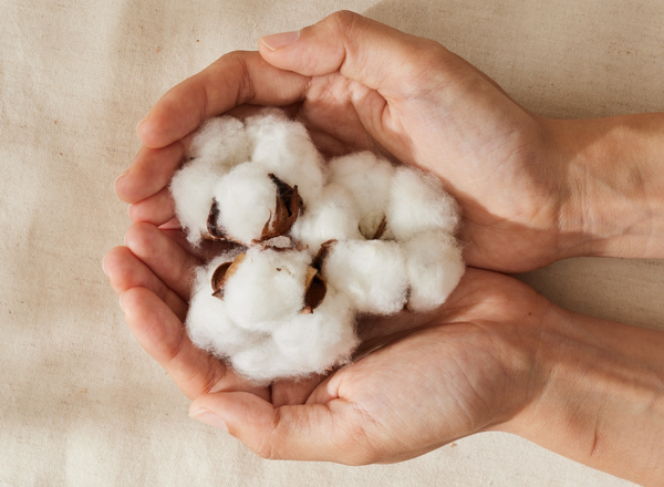 Frauenkreis: Kraftort Körper & Selbstliebe