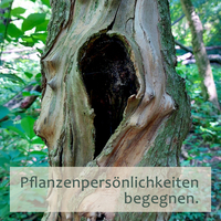 Gallery Foto