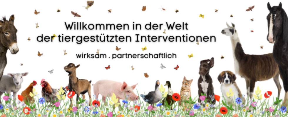 Unsere Lehrgänge starten bald! JETZT PLATZ SICHERN!