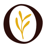 Ocker Studio | DIY-Workshops
