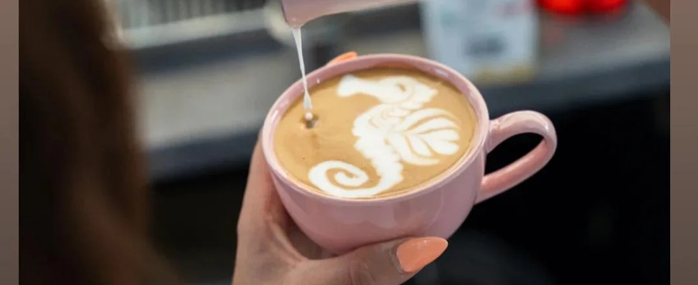 Kaffeepferdchen 