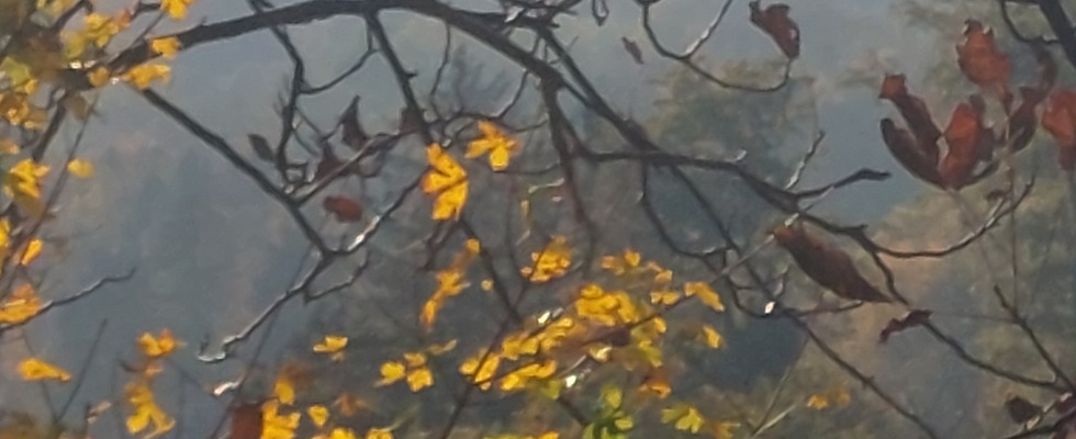 Für Frauen: Entspannen, Stille, Auftanken im Schwarzenberg Park