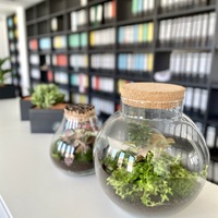 Gallery Foto