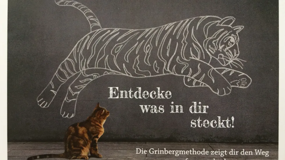Stressmanagement & Resilienztraining – Foto 1