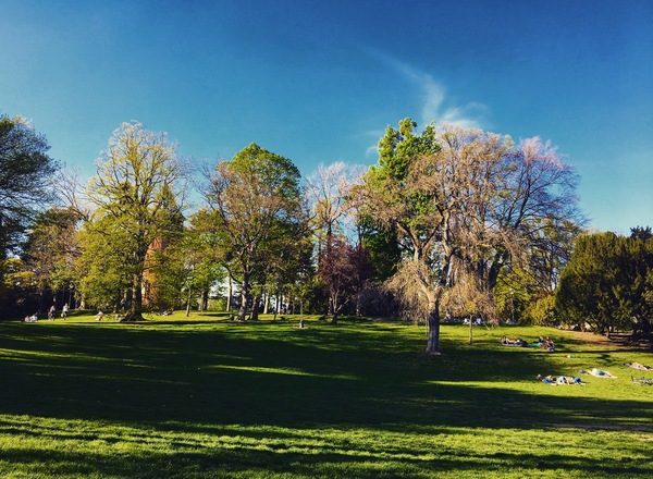 Outdoortraining im Türkenschanzpark 