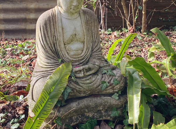 Meditation am Freitag