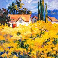 Gallery Foto