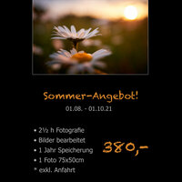 Gallery Foto