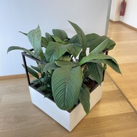 Gallery Foto