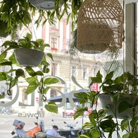 Gallery Foto