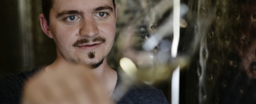 VERKOSTUNG MIT ANDREAS MOSER, WEINGUT IN WEIDEN