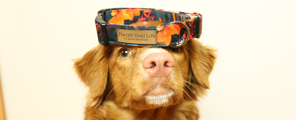 The Off Trail Life e.U.