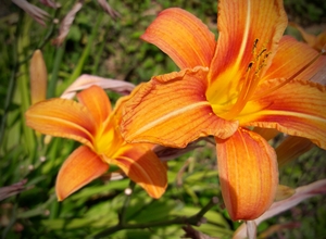 SommerImpulsWoche