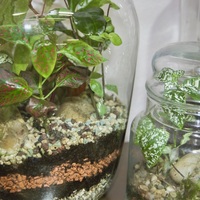 Gallery Foto