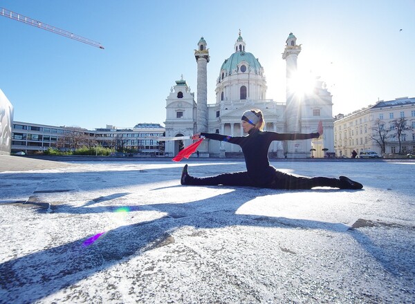 AERIAL ARTIST / TRAINER