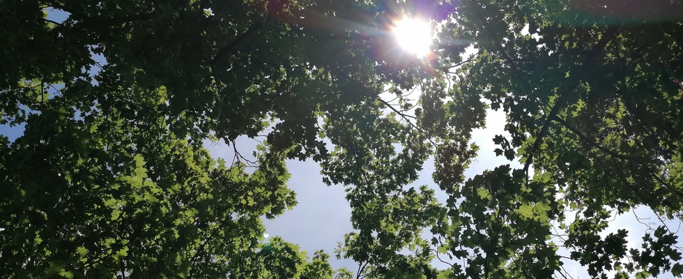 lebensbalance-wien.at