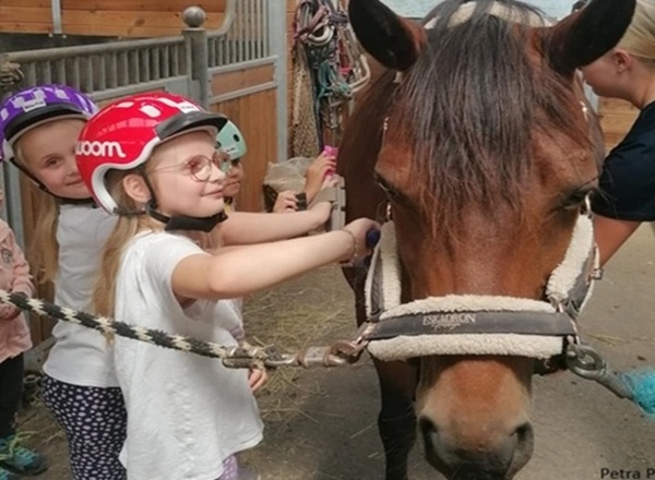 Pony Spaß für Kids von 4 - 10 Jahren