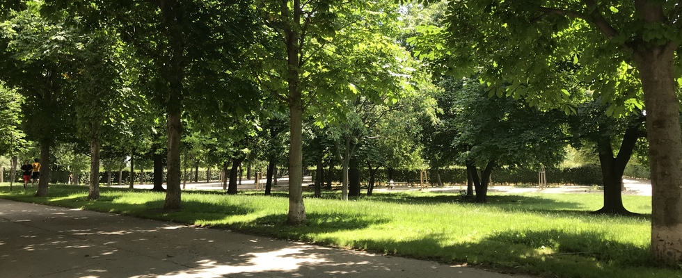 Create new Business: Coaching & Beratung im Augarten 