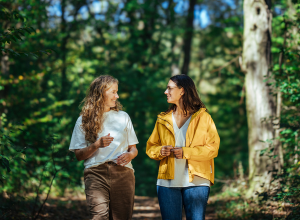 Im Gehen zur Ruhe kommen & Lösungen finden – Walk & Talk im Wienerwald