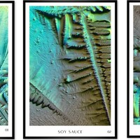 Gallery Foto