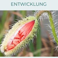 Gallery Foto