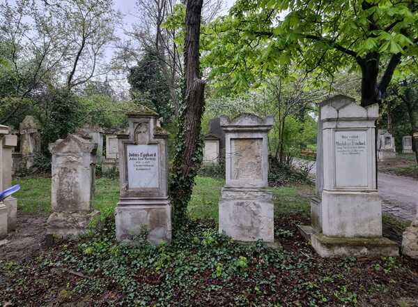 Sinnvolles lustwandeln am Friedhof St. Marx