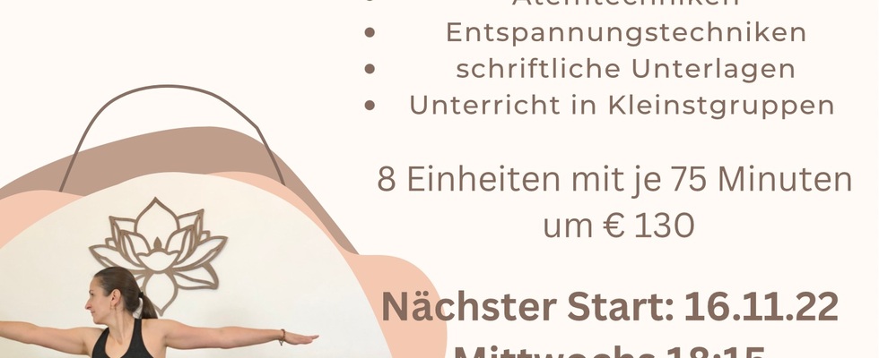 Yoga-Grundkurs für Anfänger und Wiedereinsteiger