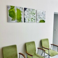 Gallery Foto